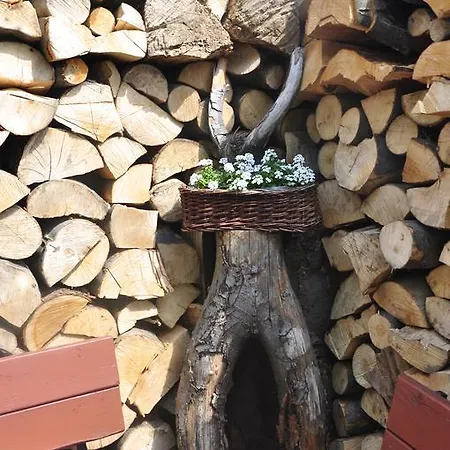 Apartmán Ewa Krynica-Zdrój