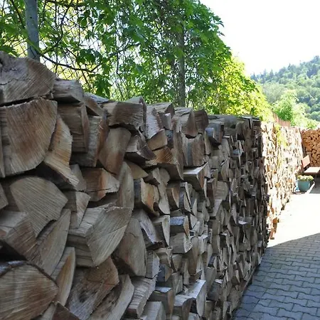 Apartmán Ewa Krynica-Zdrój