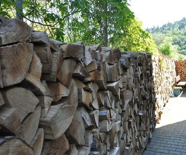 Apartmán Ewa Krynica-Zdrój